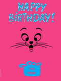 Birthday Greeting Card - A1827