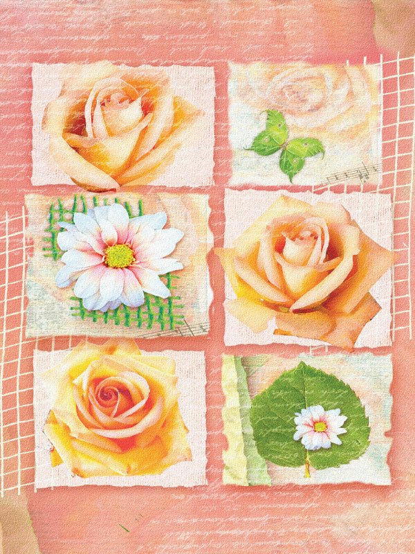 Blank Greeting Card - A1428