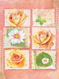 Blank Greeting Card - A1428