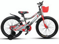 20 BICYCLE 1913ZS01